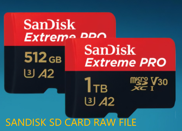 SanDisk SD card raw drive recovery