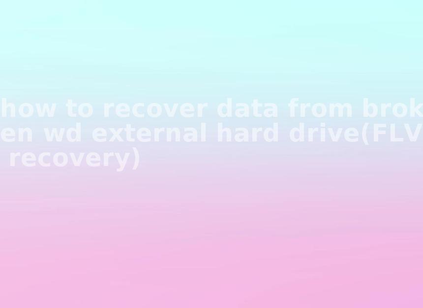 how to recover data from broken wd external hard drive(FLV recovery)2