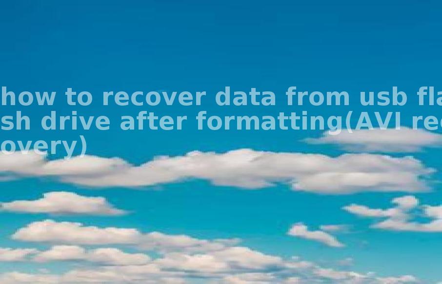 how to recover data from usb flash drive after formatting(AVI recovery)1