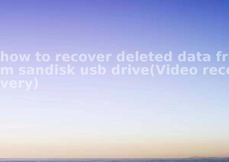 how to recover deleted data from sandisk usb drive(Video recovery)1