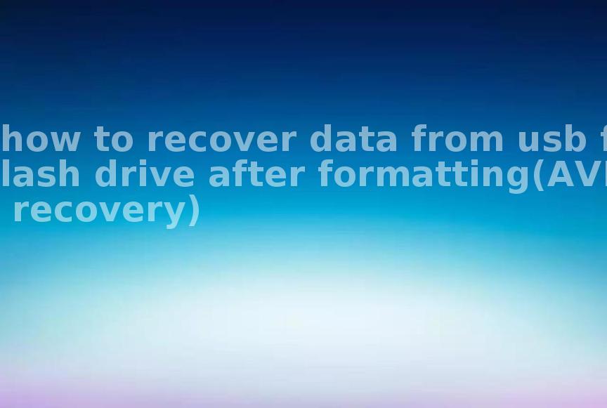 how to recover data from usb flash drive after formatting(AVI recovery)2