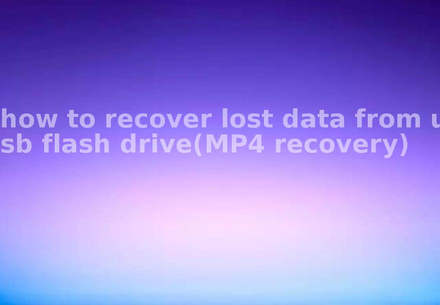 how to recover lost data from usb flash drive(MP4 recovery)2