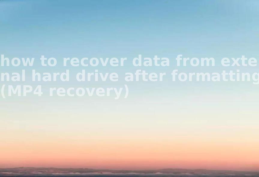 how to recover data from external hard drive after formatting(MP4 recovery)2