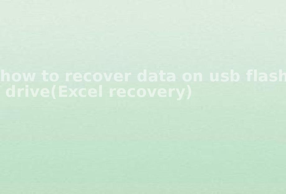 how to recover data on usb flash drive(Excel recovery)1