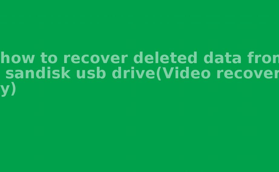 how to recover deleted data from sandisk usb drive(Video recovery)2
