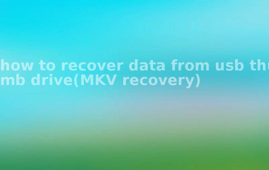 how to recover data from usb thumb drive(MKV recovery)2