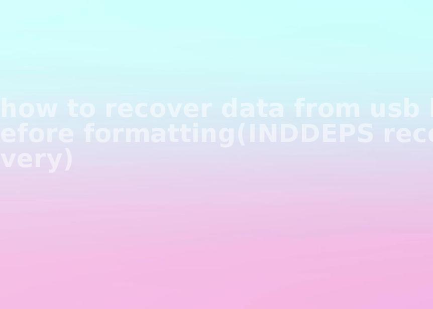 how to recover data from usb before formatting(INDDEPS recovery)2