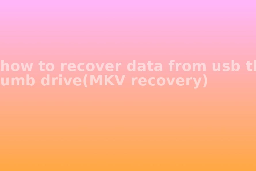 how to recover data from usb thumb drive(MKV recovery)1
